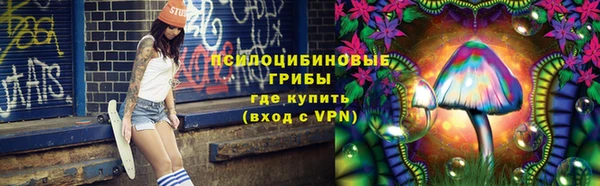 spice Верхний Тагил