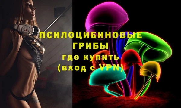 spice Верхний Тагил