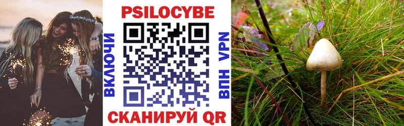 mega как войти  где можно купить   Инсар  Псилоцибиновые грибы прущие грибы 